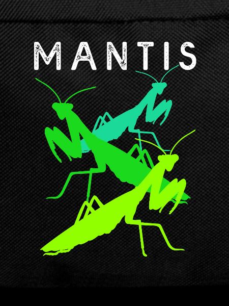 Gottesanbeter Gottesanbeterin Mantis