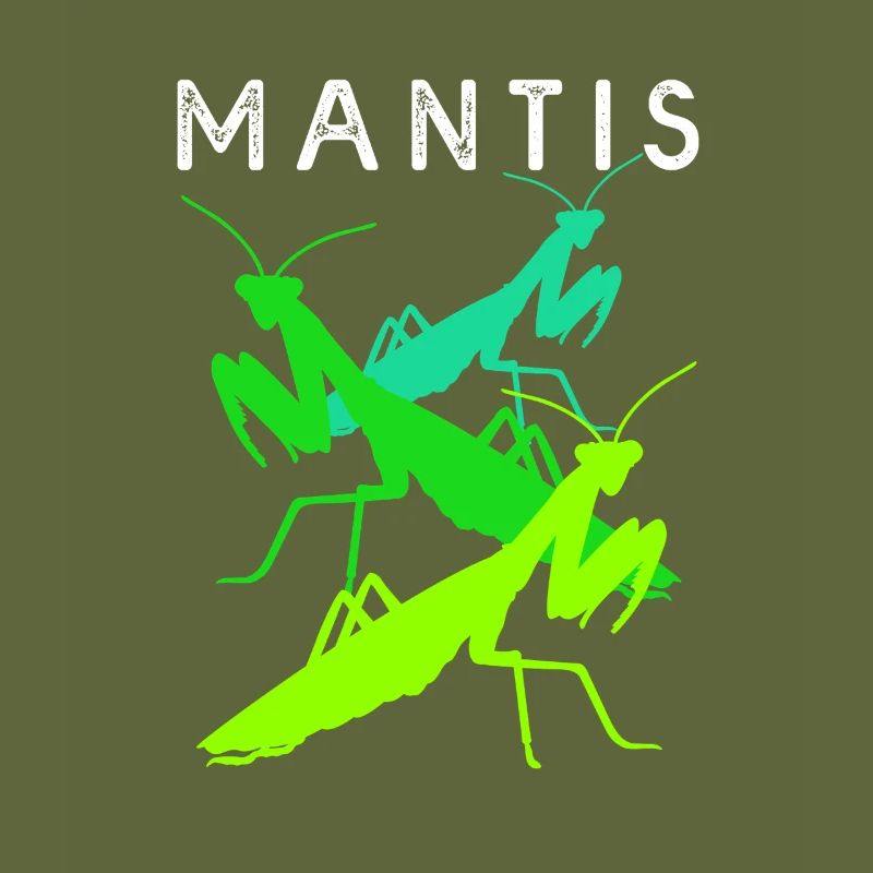 Gottesanbeter Gottesanbeterin Mantis