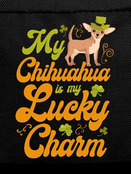 Chihuahua Chihuahueño St Patricks