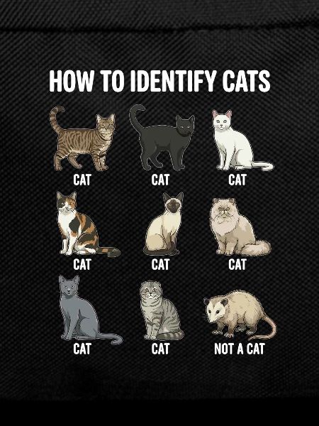 Cat Species Recognition Motif