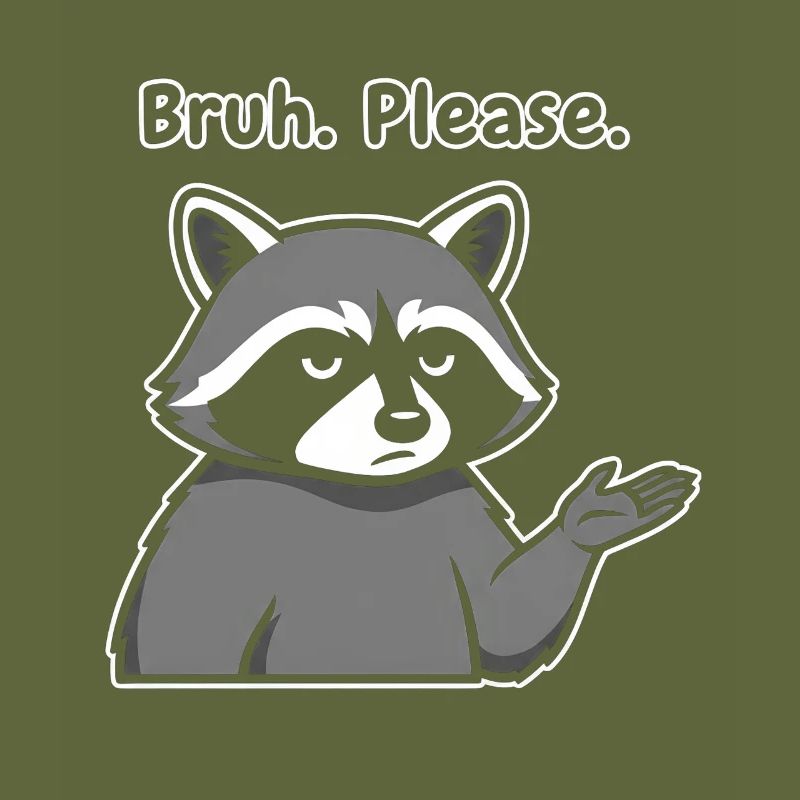 Bruh Bitte Waschbär-Meme