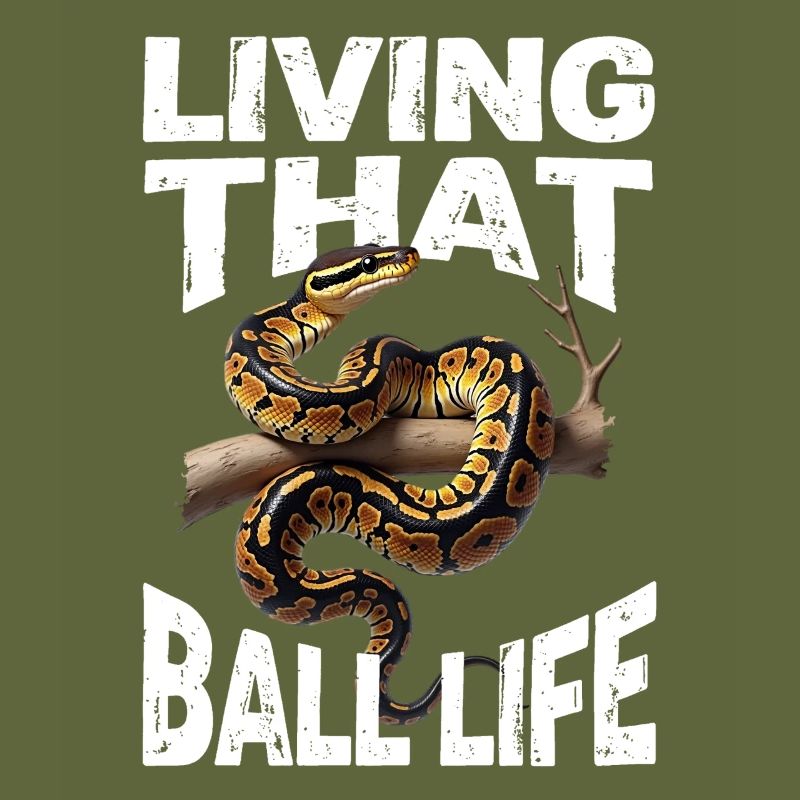 Königspython Schlangen Liebhaber Terrarium Python