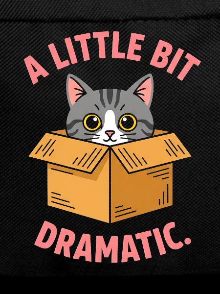 Cat purr in cardboard box Drama