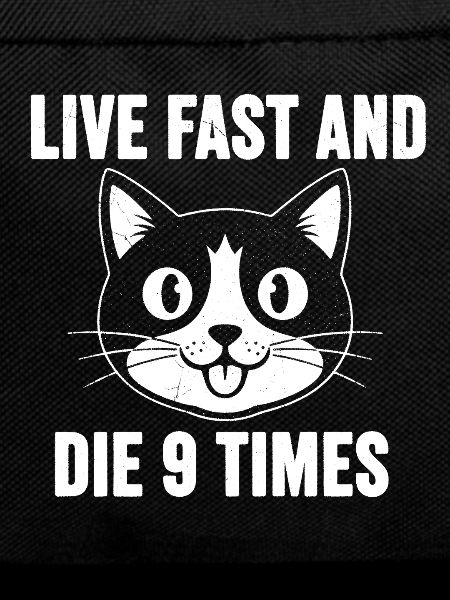 Katzenmeme: Lebe Schnell, Sterbe 9 Mal