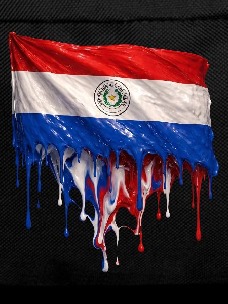 Paraguay Flag Drop Art