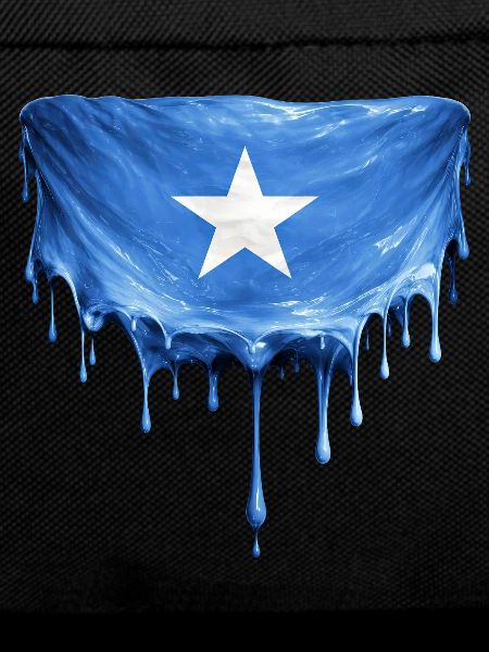 Somali Flag Drop Art