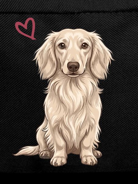 White Dachshund, English White Dachshund
