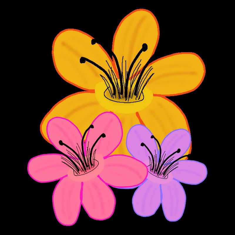 Sonner  Blumen Garten Blume Flora