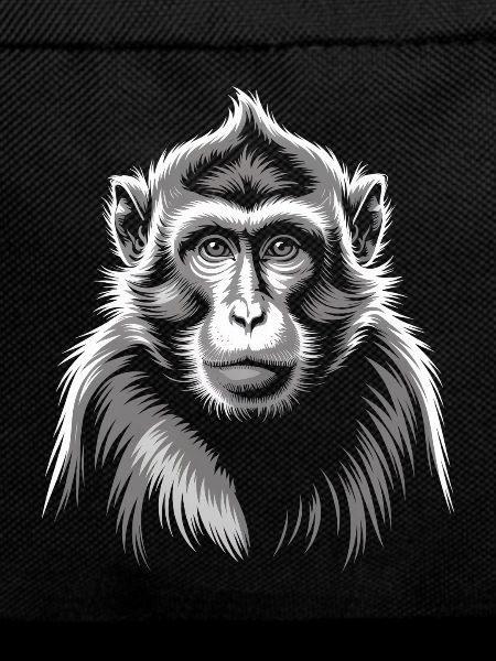 Singe Gris
