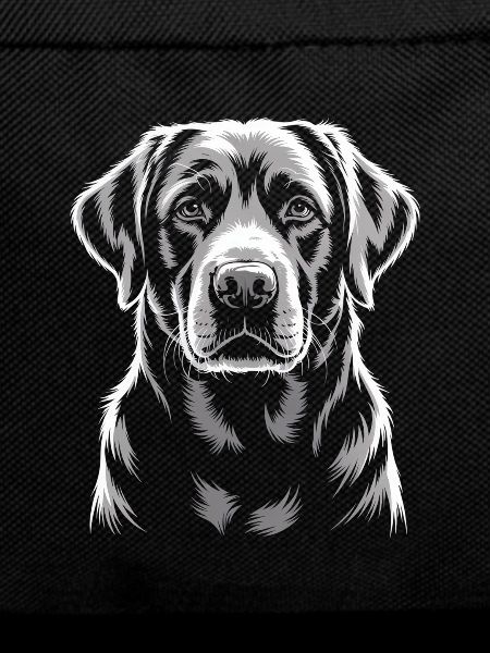 Labrador