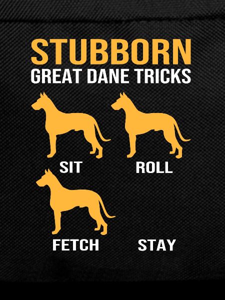 Great Dane