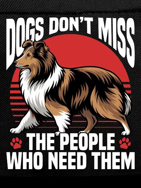Shetland Sheepdog Sheltie Dog Breed