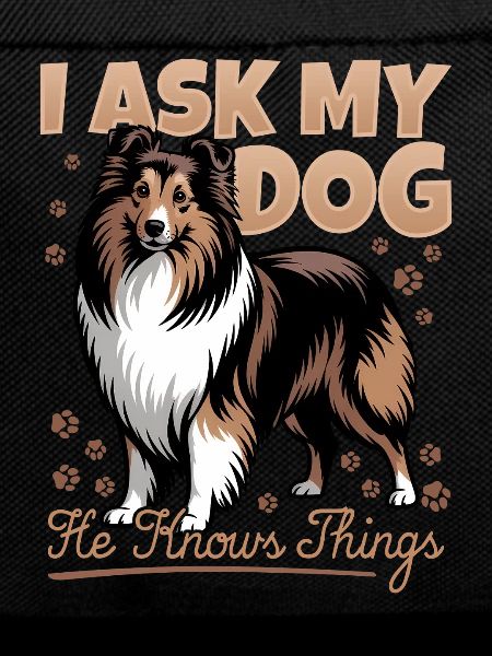 Shetland Sheepdog Sheltie Dog Breed