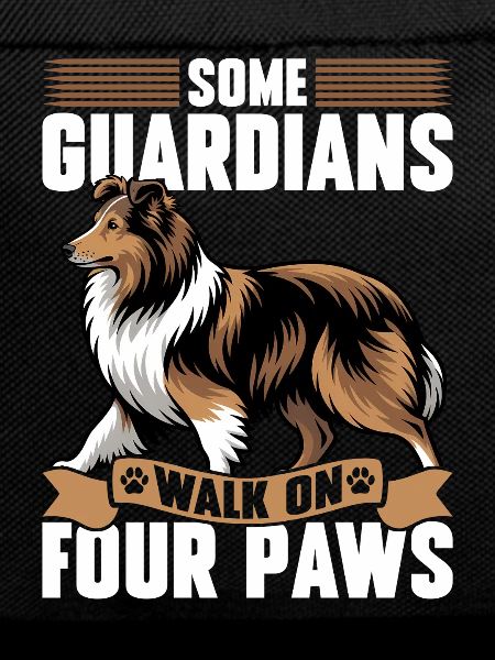 Shetland Sheepdog Sheltie Dog Breed