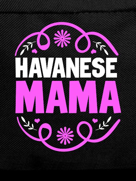 Havaneser