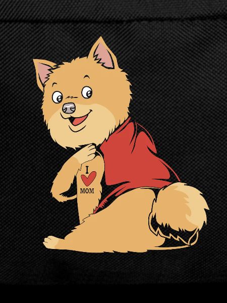 Zwergspitz Pomeranian