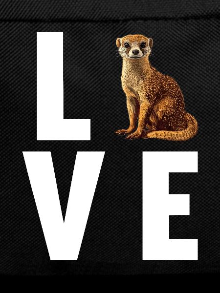 Mongoose's Mongoose