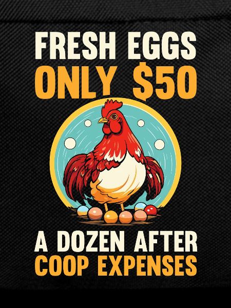 Farmer Rooster Flock Poultry Chicken