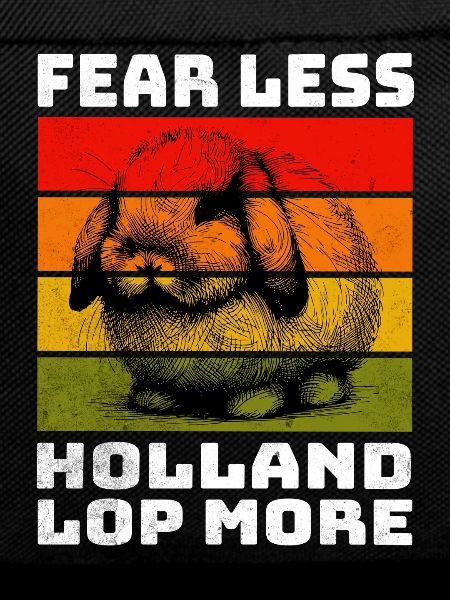 Holland Lop Rabbit Dwarf Ram Rabbit