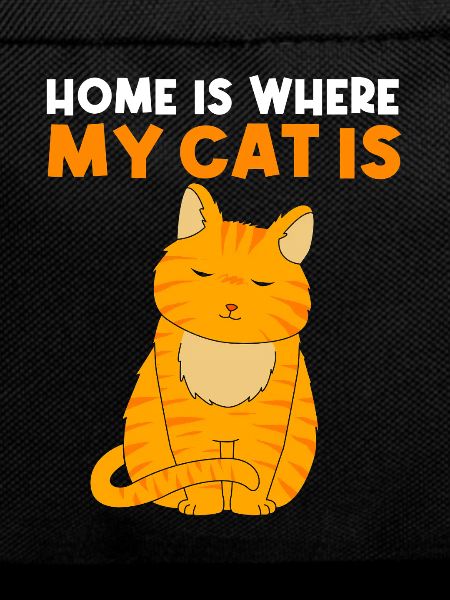 tabby cat