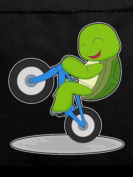 Turtle Bicycle
