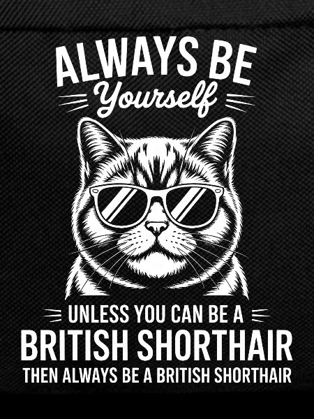 Britisch Kurzhaar Katze Britisch Kurzhaar Geschenk
