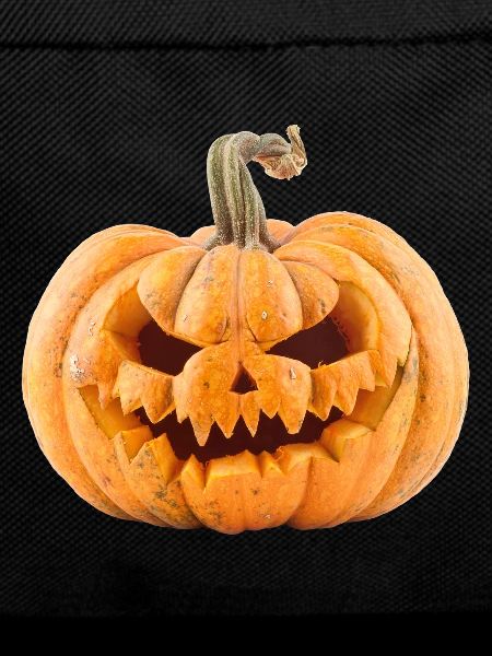 Pumpkin Halloween