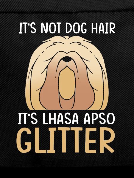 Lhasa Apso Hund