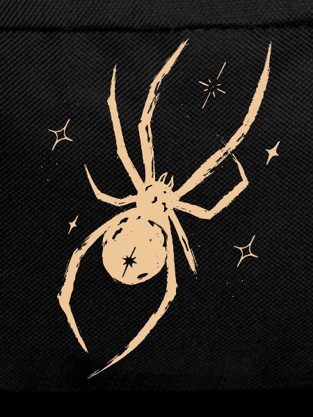 Spinne Celestial Natur