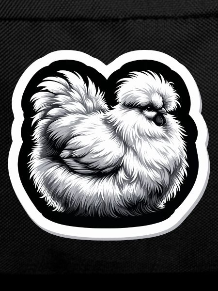 Silkie Chicken Fluffy Chicken Silkies