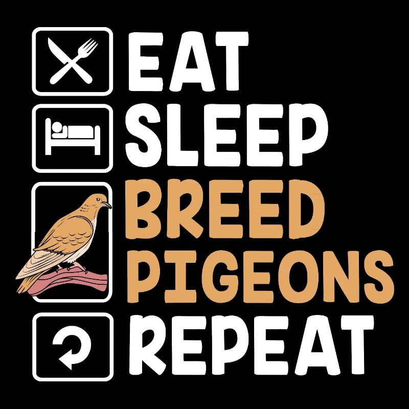 Pigeons pigeons