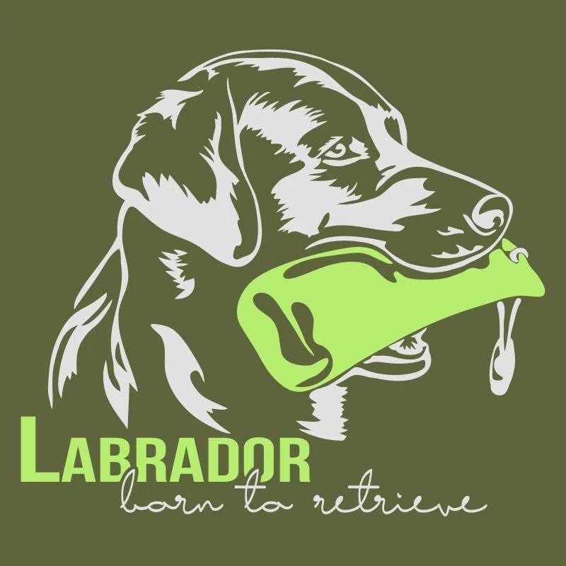 Labrador né pour récupérer
