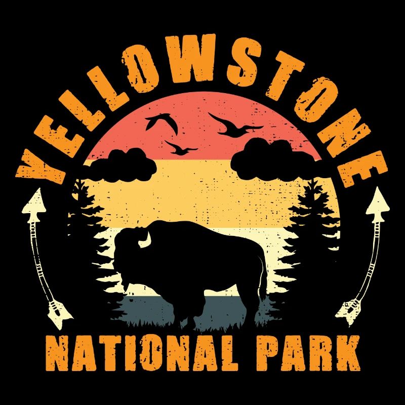Yellowstone National Park Bison