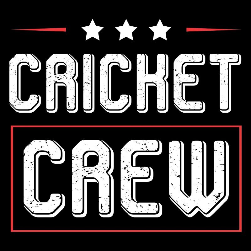 Équipe de cricket