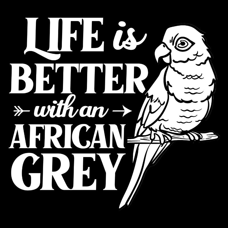 Afrikanischer Graupapagei Papagei Vogel Afrika