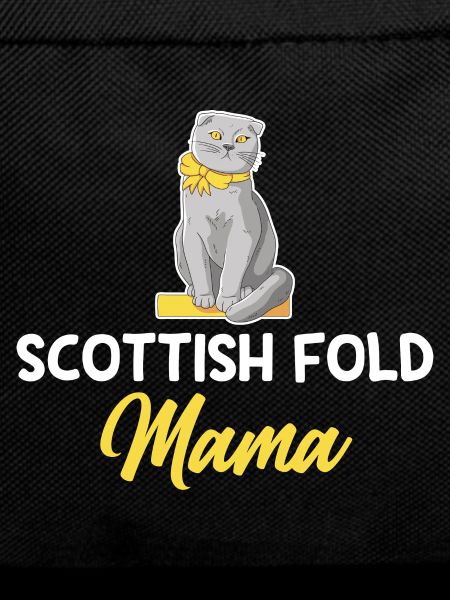 Scottish Fold Cat
