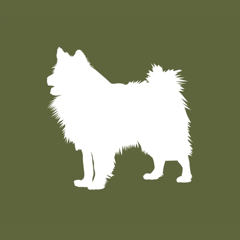 Wolfsspitz - Keeshond Dog