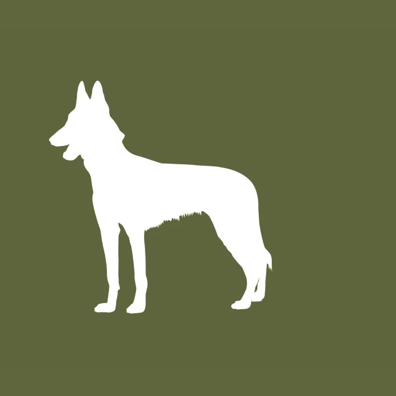 Malinois - Belgian Shepherd