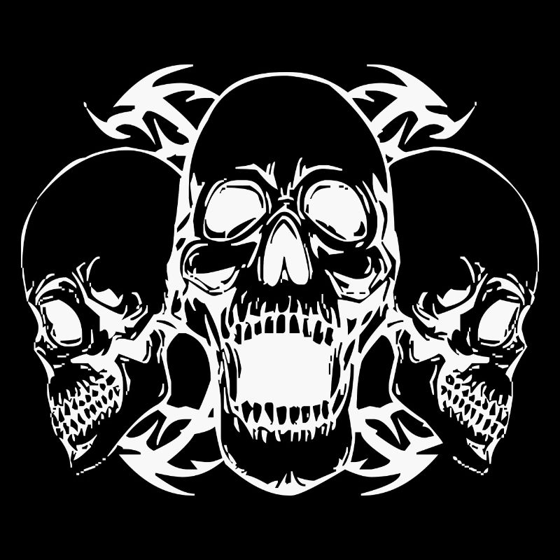 Skull