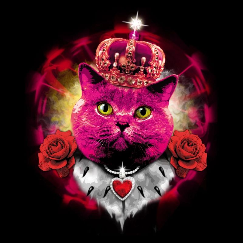Chat rose la Reine Glow