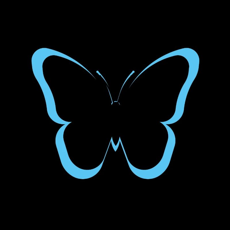 butterfly butterfly