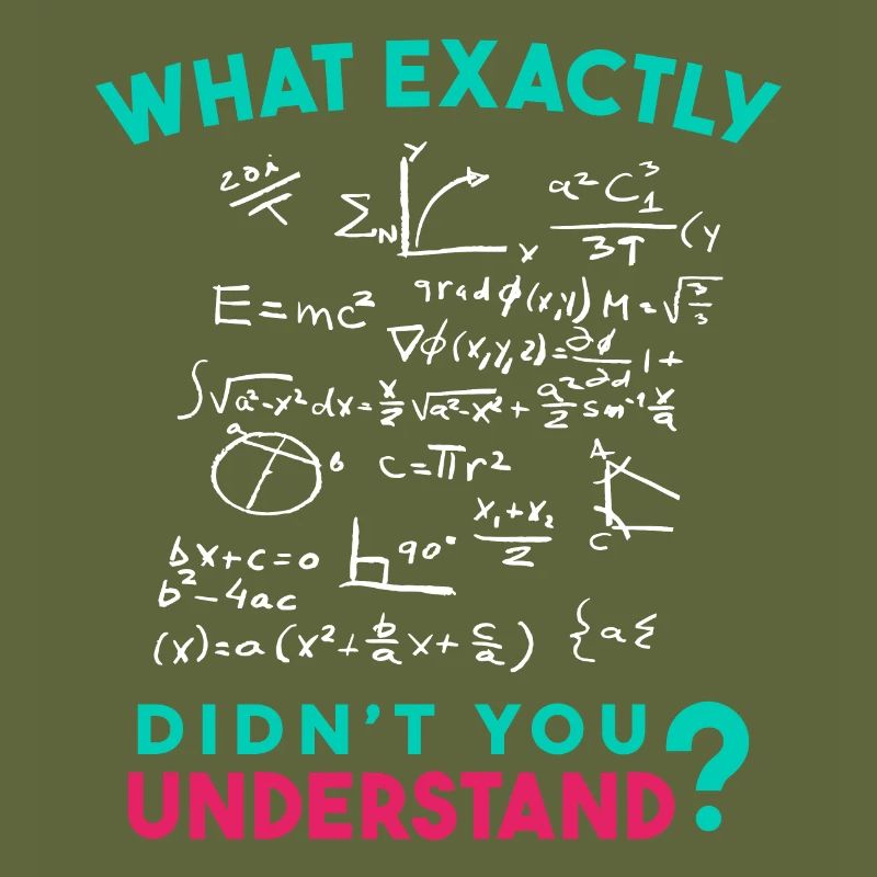 Physics Math Formula Joke