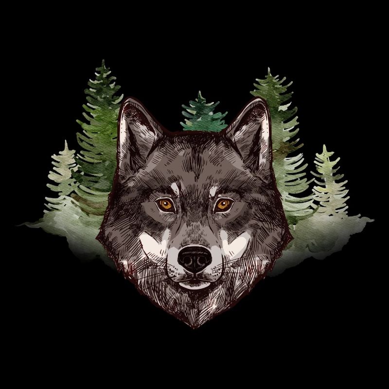 Wolf Grey Forest Wild Wildlife Creature