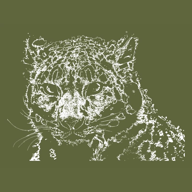 Snow leopard