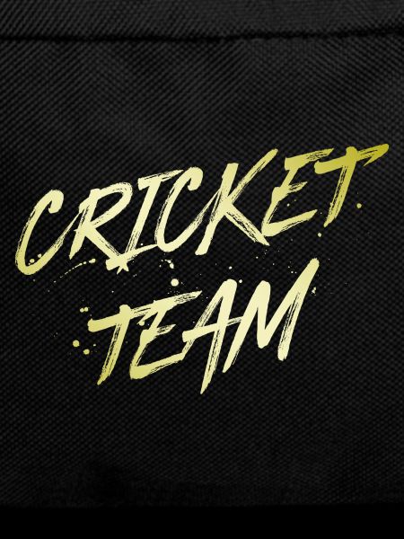 Cricket Team