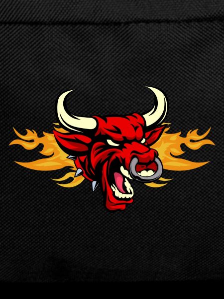 Stier