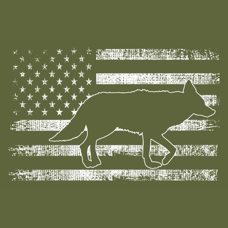 Coyote Design for Coyote Shreactors