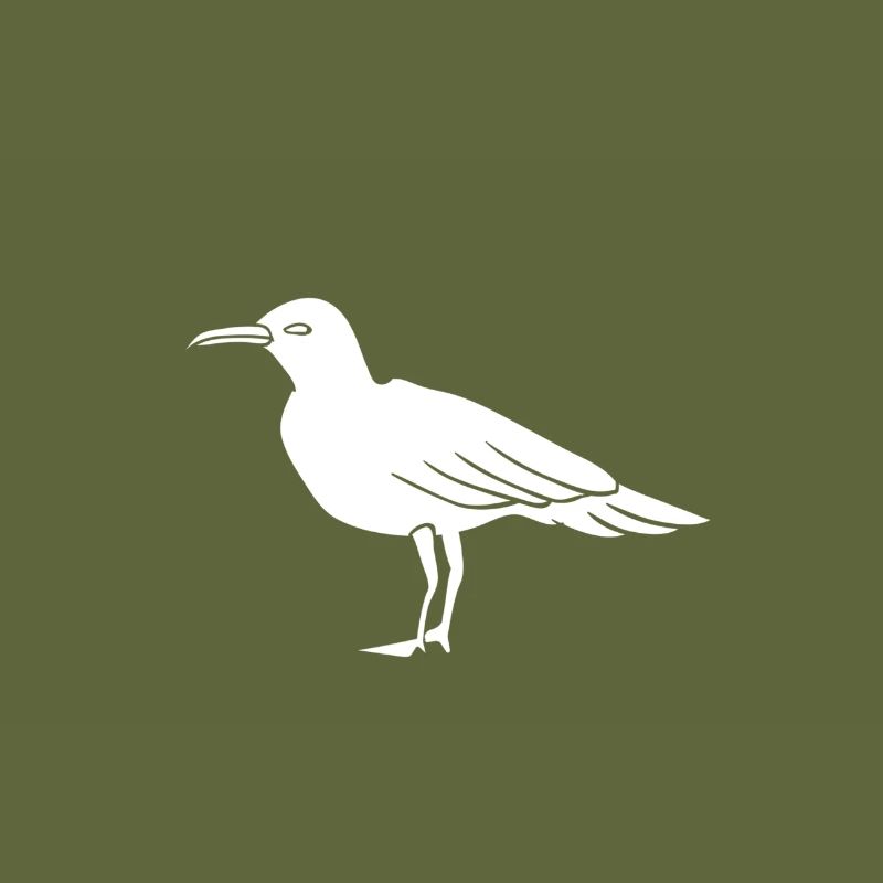 mouette