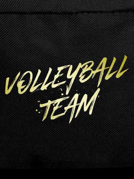 Volleyball Team