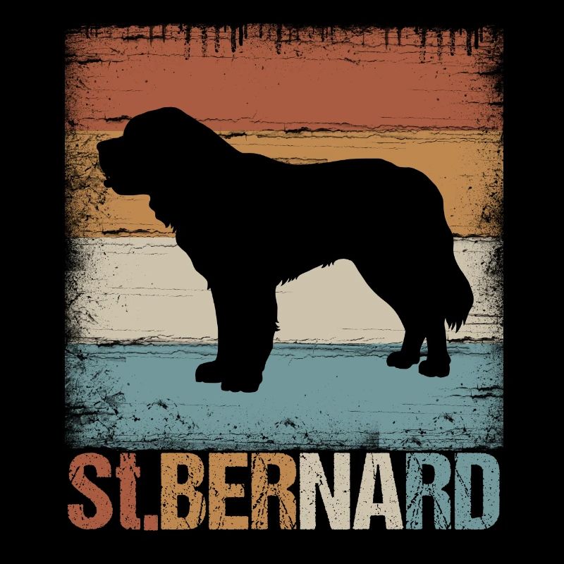 Bernhardiner St Bernard Schweizer Hunderasse